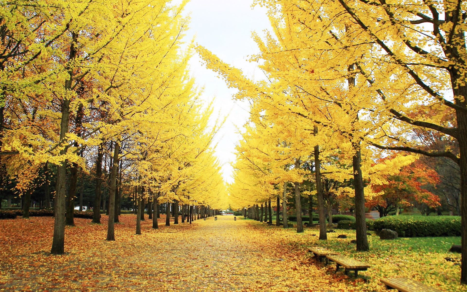 OB��Ѷ��(�й���)�ٷ���վ